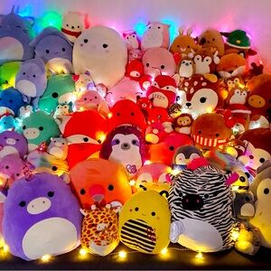 Meet your Posher, Kenz!